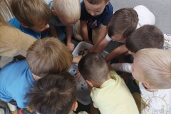 Dzień Postaci z Bajek "Misie" 2023