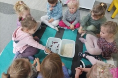 Dzień Postaci z Bajek "Misie" 2023