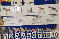 Dzień Psa w grupie "Sowy"