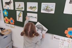 Dzień Zwierząt Misie 2023