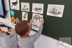 Dzień Zwierząt Misie 2023