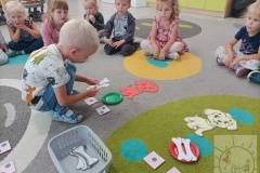 Dzień Zwierząt Misie 2023
