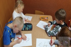 Kampania CPCD Wiewiórki