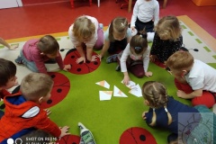 got_IMG_20210217_094546