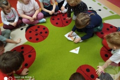 got_IMG_20210217_094708
