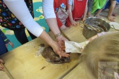 got_IMG_0419