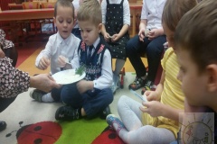 got_20201222_110749