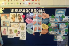 Wirusoochrona grupa "Sowy" 2021