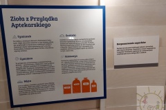 Wycieczka Bajka Pana Kleksa 2023