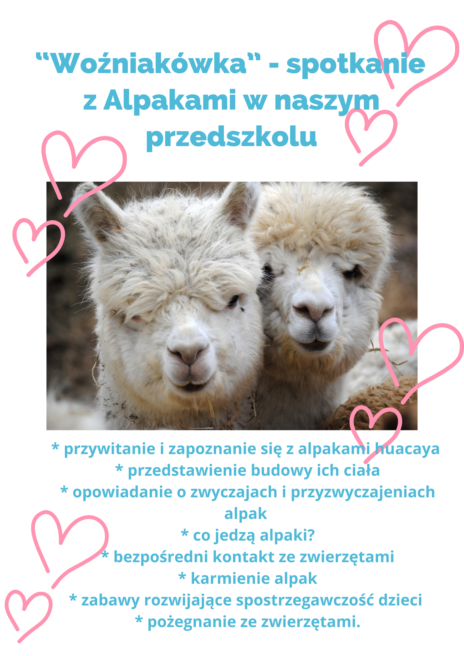“Woźniakówka” - spotkanie z Alpakami w naszym przedszkolu.